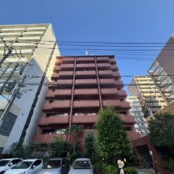 駅近♪♪地下鉄七隈線「薬院大通」駅 徒歩5分！リノベーション物件！福岡市中央区薬院3丁目中古マンション！【仲介手数料無料】