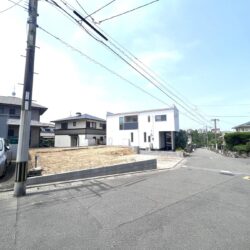 現地写真